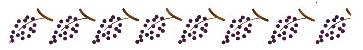 Grappe.gif (9183 octets)