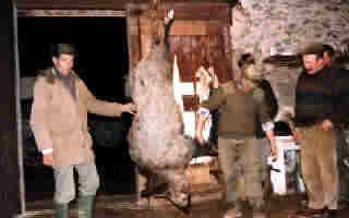 Un retour de chasse