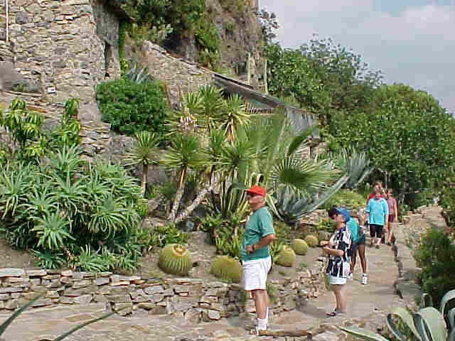 touristes merveills par la beaut du jardin
