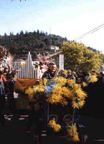 du mimosa dans le moteur
