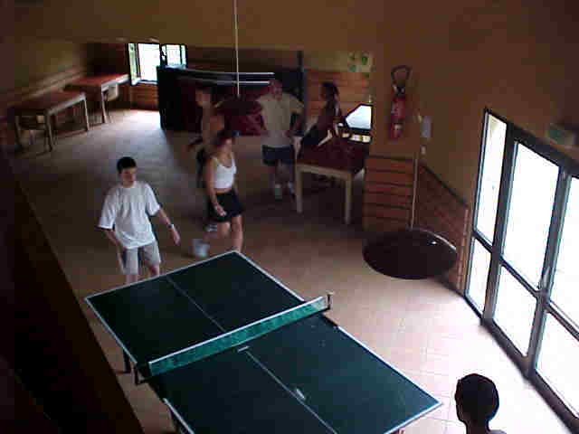 ping-pong